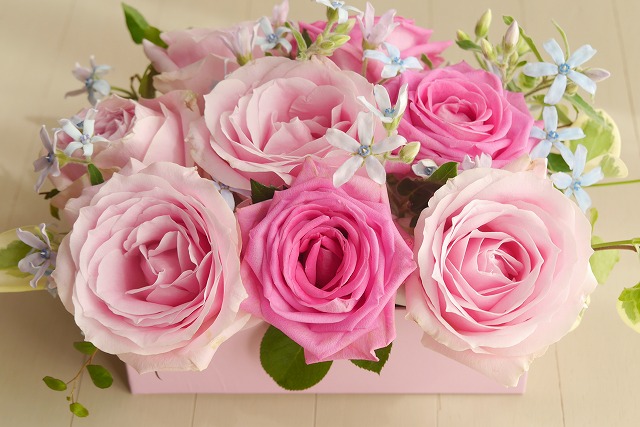 母の日の花の選び方 ふさわしい種類とプレゼントの予算は トレンド生活21