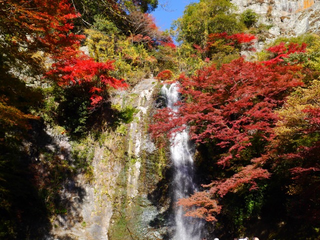 箕面大滝の紅葉